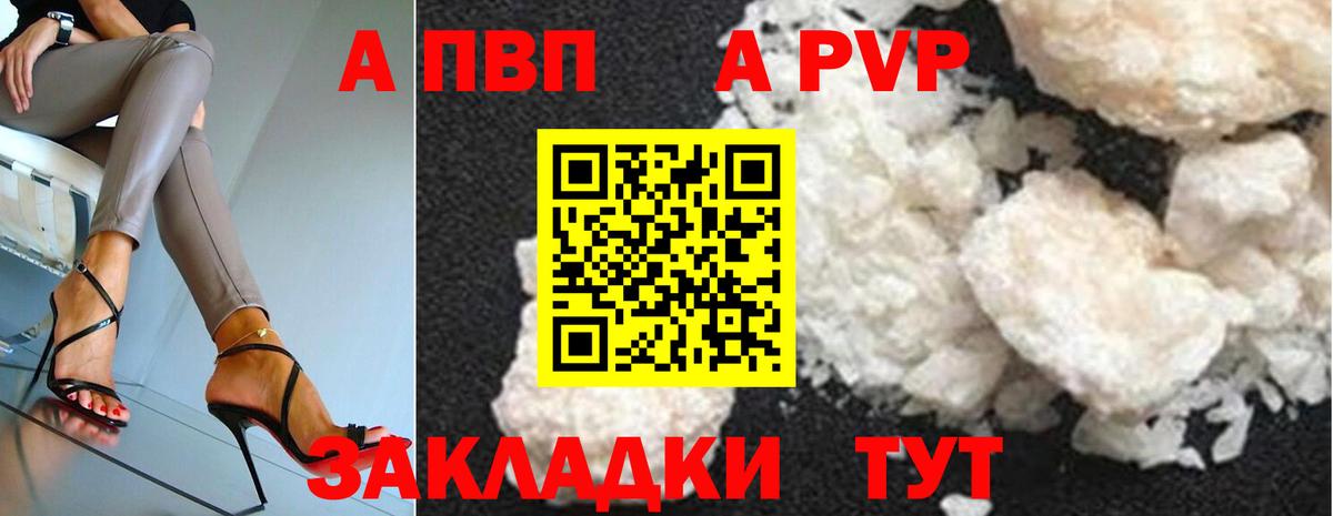 Альфа ПВП СК Находка
