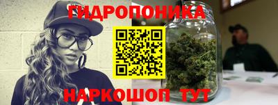 Альфа ПВП Дубна