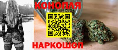 Альфа ПВП Дубна