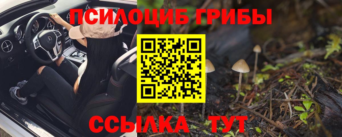 Псилоцибиновые грибы GOLDEN TEACHER Находка